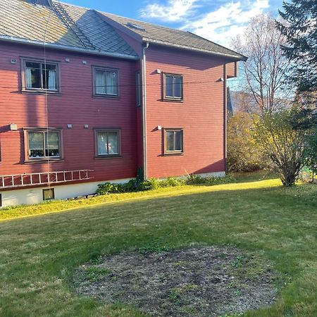 Aurora Tromso Apartment Kültér fotó