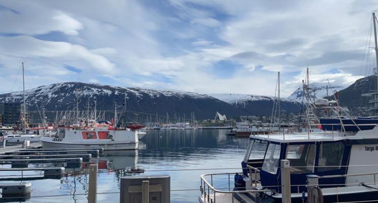Aurora Tromso Apartment Kültér fotó